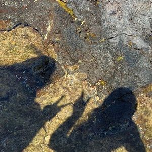 Meet your Posher, Maluhia